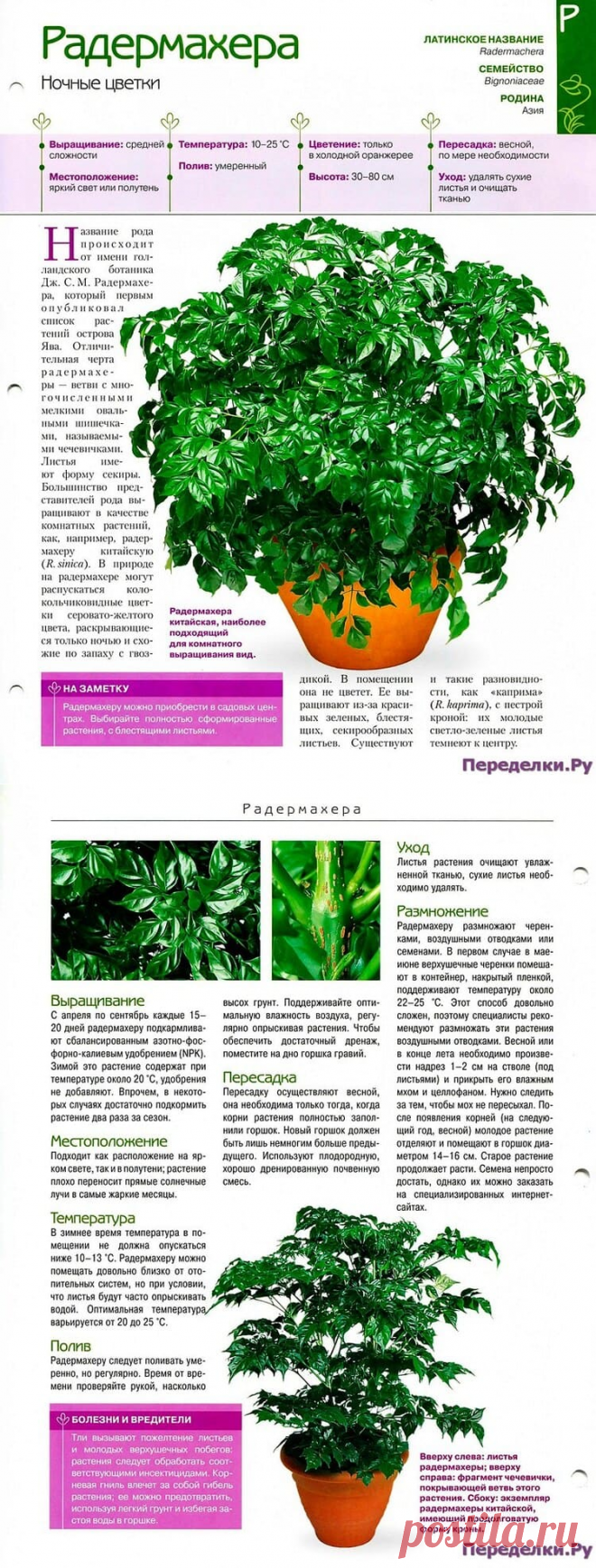 Радермахера * Переделки.РуПеределки.Ру