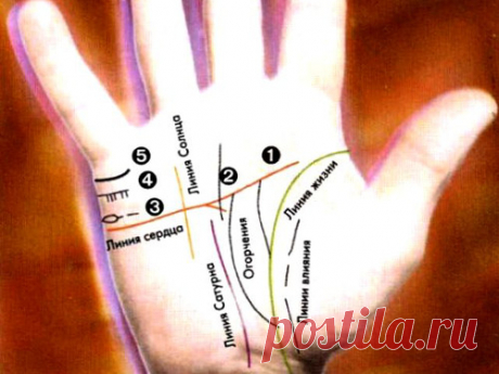 Линии на руке в хиромантии: узнаем все о личной жизни человека