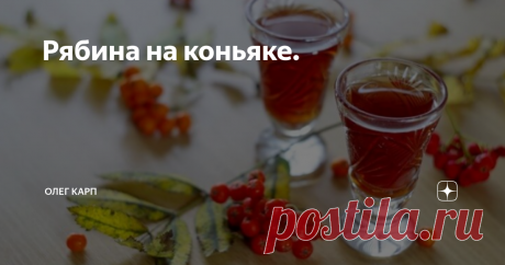 Рябина на коньяке. Крепость и тонкий изысканный вкус - вот как можно охарактеризовать
этот напиток. Обалденно вкусно! Рекомендую любителям
крепких напитков.
Что понадобится
