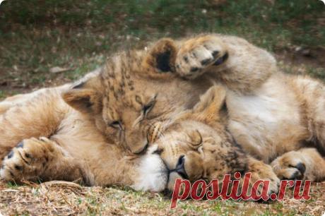 Мой Мир@Mail.Ru