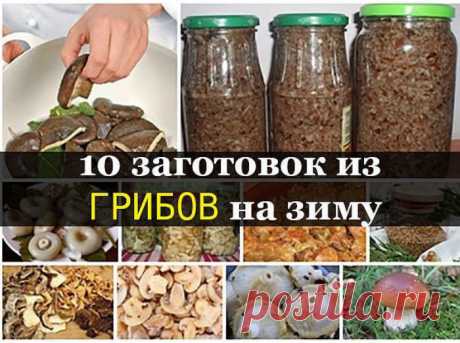 Лучшая подборка засолки грибов на зиму из 10 рецептов. 1. Засолка грибов - холодный способ.
2. Икра из грибов на зиму.
3. Засолка грибов горячим способом .
4. Солянка на зиму с грибами .
5. Маринованные маслята.
6. Грибной порошок.
7. Сушеные грибы
8. Замороженные грибы
9. Грузди солёные по- алтайски
10. Как мариновать белые грибы