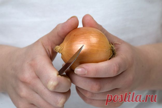 Семь причин никогда не выбрасывать луковую шелуху - KitchenMag.ru