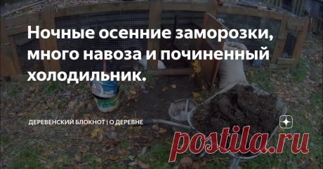 Ночные осенние заморозки, много навоза и починенный холодильник.