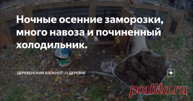 Ночные осенние заморозки, много навоза и починенный холодильник.