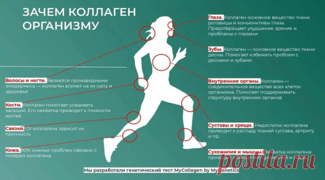 Зачем нужно пить коллаген?🥛5 причин, кому точно НАДО ⬇️

1️⃣ После 35 лет при появлении первых морщин
2️⃣ При сухости кожи
3️⃣ Дефиците белка в питании и низкой кислотности желудка
4️⃣ Курсом при переломах
5️⃣ Курсами при заболеваниях связок и суставов 

✨ФАКТЫ✨

🥛Синтез собственного коллагена снижается с 25 лет.
Далее 👇👇👇