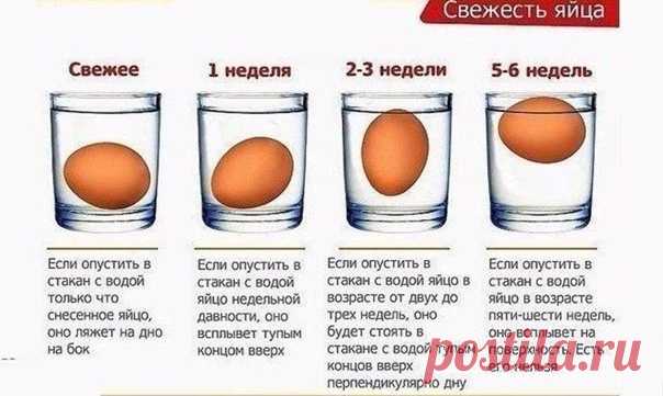 Определяем свежесть продукта при помощи стакана воды.