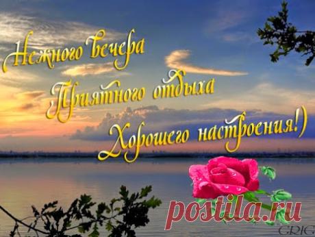 Я ВАМ ЖЕЛАЮ...