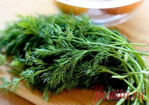 Не нужно сушить укроп: есть 3 ловких метода хранить его всю зиму. Укроп как свежий - как с грядки. Век живи, век учись | В саду у Валентинки | Дзен