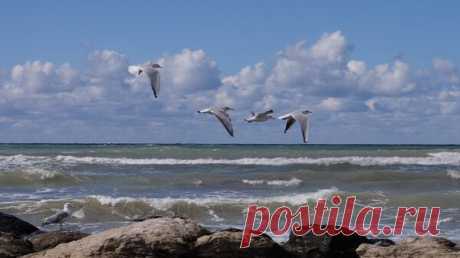 Росводресурсы спрогнозировали повышение уровня воды в Каспийском море