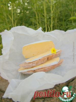 Домашний сыр с благородной белой плесенью - кулинарный рецепт