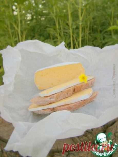 Домашний сыр с благородной белой плесенью - кулинарный рецепт