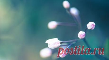 Zbirke – Google+