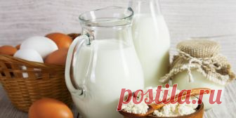 Про всякие биотики. Что лучше, про-, пре- или метабиотики? - Здоровье Mail.Ru