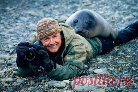 Фотографам дикой природы часто мешают животные