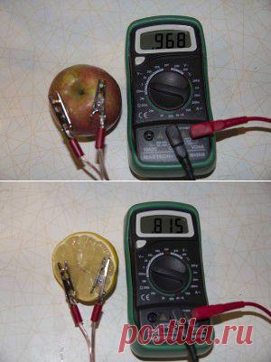 Фруктовая батарейка| Занимательная наука