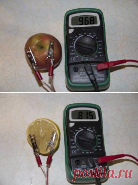 Фруктовая батарейка| Занимательная наука