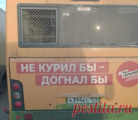 Смешные и ироничные надписи и рисунки на авто. Подборка из 23 примеров | Юмор на грани | Яндекс Дзен
