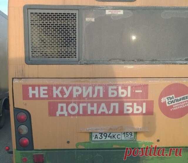 Смешные и ироничные надписи и рисунки на авто. Подборка из 23 примеров | Юмор на грани | Яндекс Дзен