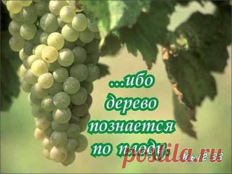 Одноклассники