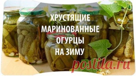Любимая рубрика.
Копилочка полезных советов от Николай Кузьменко.