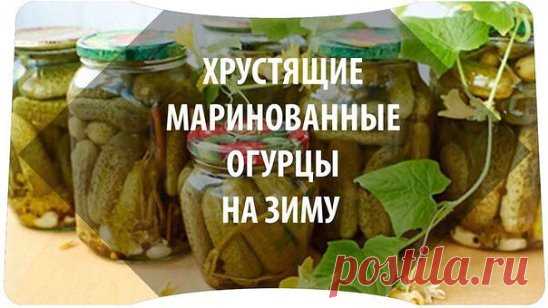 Любимая рубрика.
Копилочка полезных советов от Николай Кузьменко.