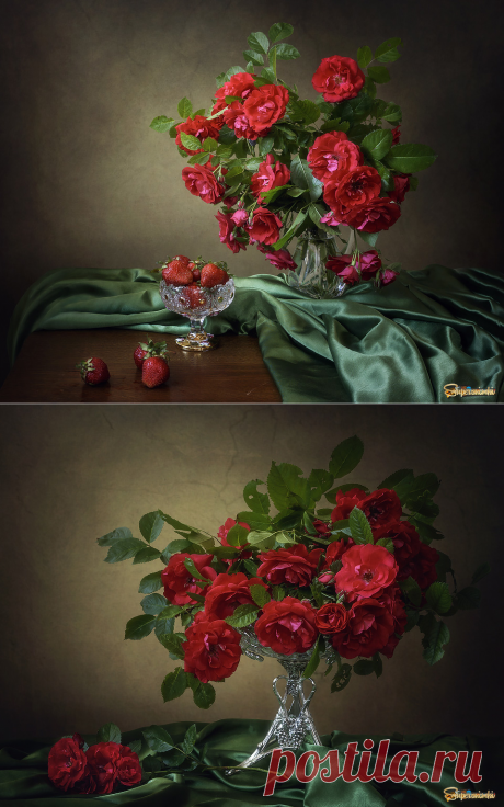 Красное на зеленом | Фотосайт СуперСнимки.Ру