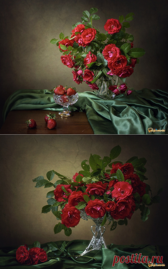 Красное на зеленом | Фотосайт СуперСнимки.Ру