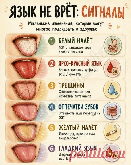 Язык не врет: сигналы