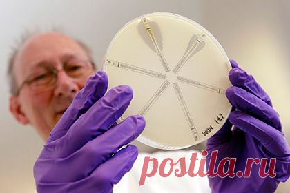 Неуязвимые для любых антибиотиков бактерии начали распространяться по планете | Наука и техника