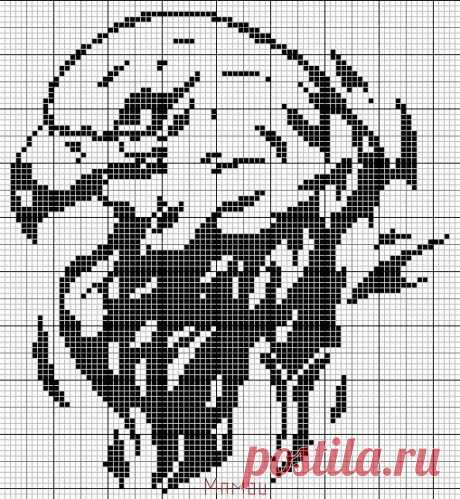 Gallery.ru / Фото #79 - Птицы (схемы) - Olgakam