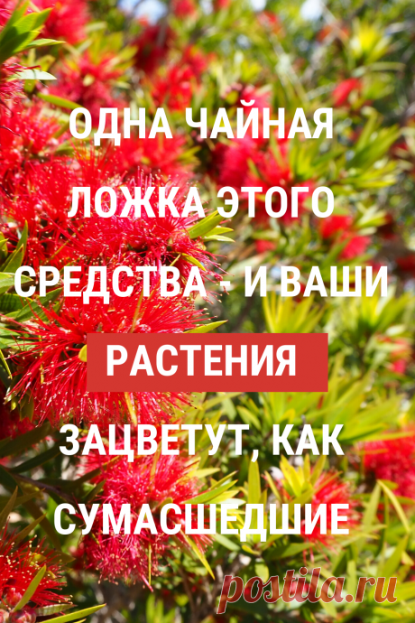 Отличная подкормка для ваших комнатных цветов. Будут расти и цвести прекрасно! #цветы #комнатные #растения #удобрения #подкормка