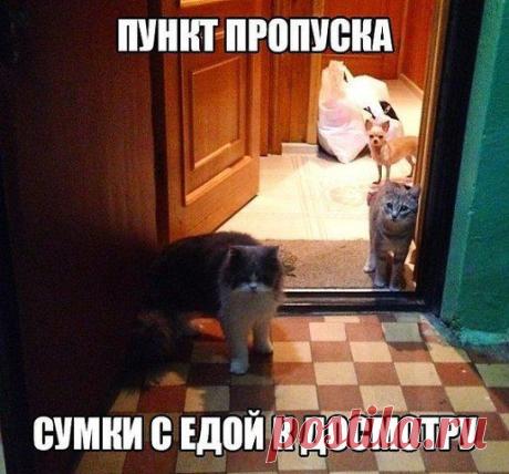 Интересные новости