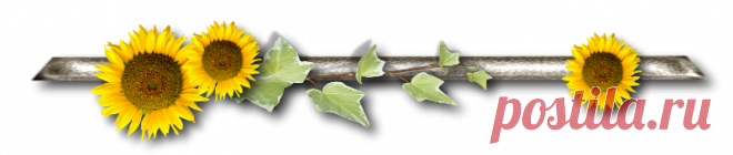 Добавляем свой текст на любое изображение