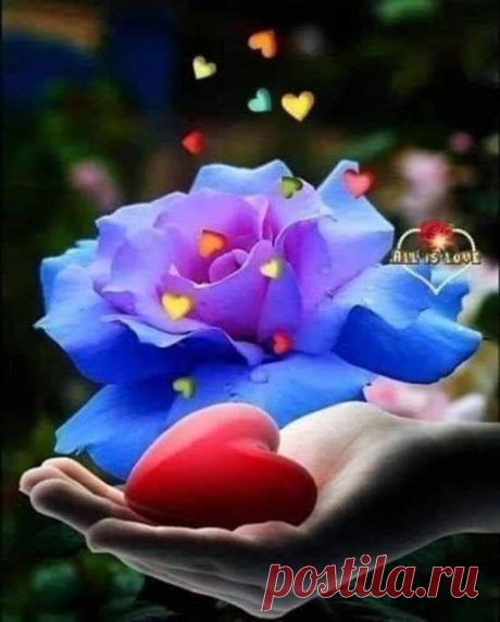 (5) د.هبه قطب | Facebook