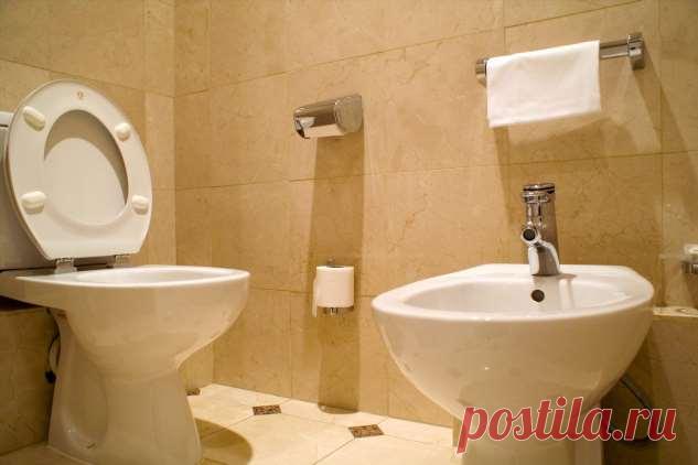 Какие подручные средства помогают Ольге Папсуевой наводить порядок в санузле . Милая Я