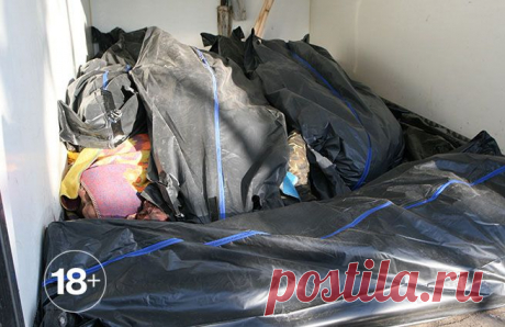 Эхо "организованного отхода" (Фото 18+)