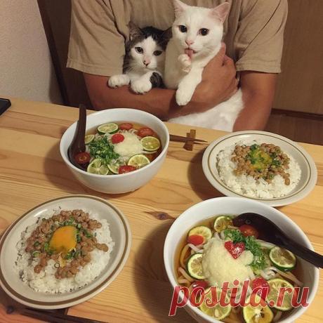 Мой Мир@Mail.Ru