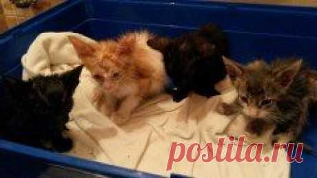 (48) Одноклассники