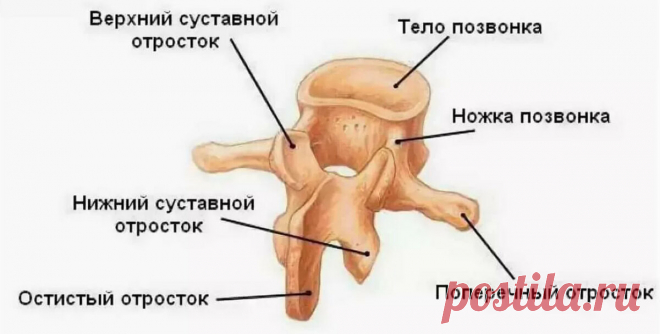 Семь 