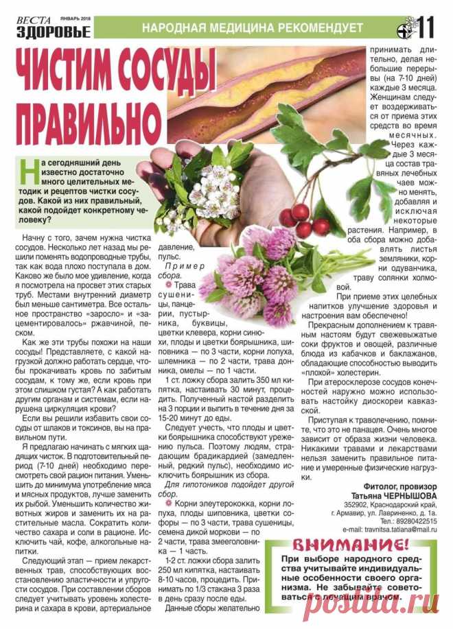 Чистим сосуды правильно
