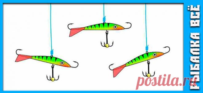 Окунь зимой. Где искать окуня зимой. - fishing-all.ru