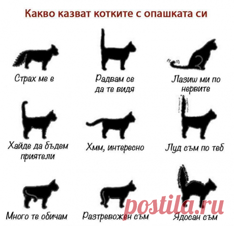 (4) Facebook