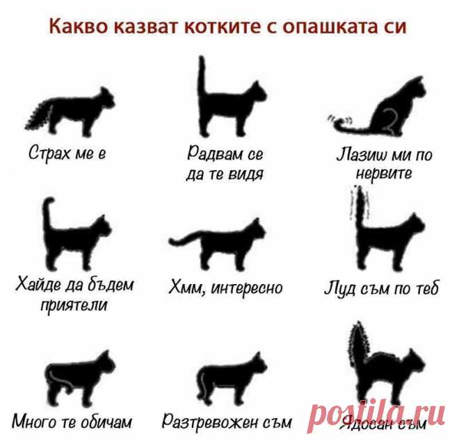 (4) Facebook