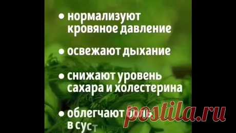 Обычный огурец