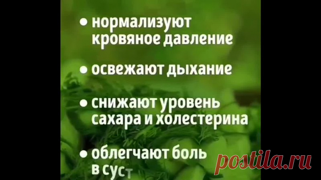 Обычный огурец