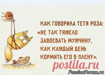 Одесса на проводе... не смогла не поделиться - запись пользователя vol27 (Юлия) в сообществе Болталка в категории Юмор Утром муж, наблюдая картину как я покрываю прическу лаком для волос говорит:  — Зря ты дихлофос переводишь, твои тараканы бессмертны!слезах Cара с упреком говорит мужу:  — Тебя даже не интересует, почему я плачу? Хочешь, скажу?  — Не надо