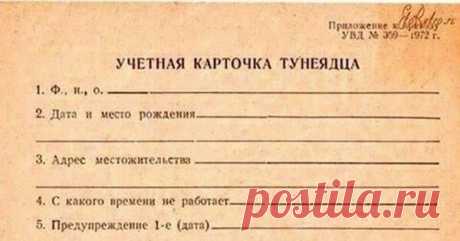 В России хотят ввести &quot;налог на тунеядство&quot; | Мамин Сибиряк | Яндекс Дзен