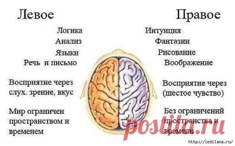 Полезные продукты для мозга