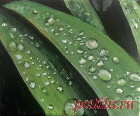 Dew drops This is an 8 by 8 painting on canvas (combination of acrylic paints and colored pencils). Looks even better live than on the photo)