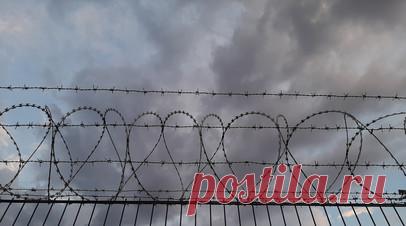 Бывшая топ-менеджер «Ростеха» Лалетина приговорена к восьми годам тюрьмы. Хамовнический суд Москвы приговорил к восьми годам лишения свободы директора по правовому обеспечению и корпоративному управлению госкорпорации «Ростех» Аллу Лалетину, которая обвиняется по делу о взятках. Читать далее